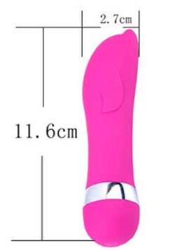 Sex Toys For Women Realistic Dildo Mini.