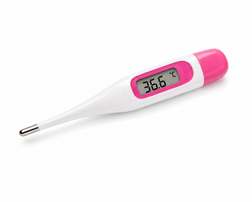 Female Ovulation Thermometer High Memory Recall Temperature for Women Men Family Birth Supplies Drop Shipping